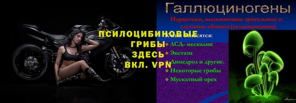 СК Кулебаки